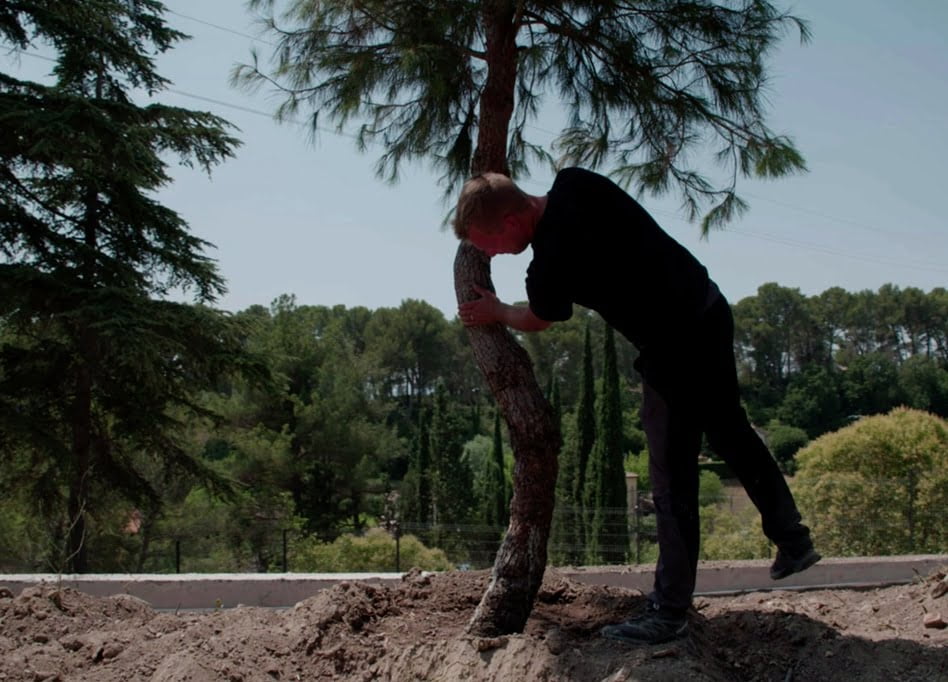 arbre-tordu-thomas