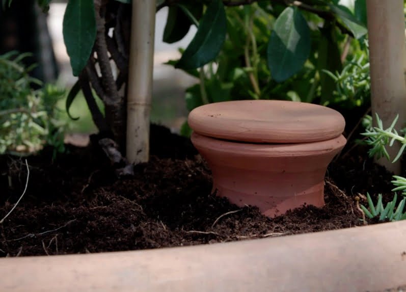 Comment connaître le pH de son sol au jardin ?