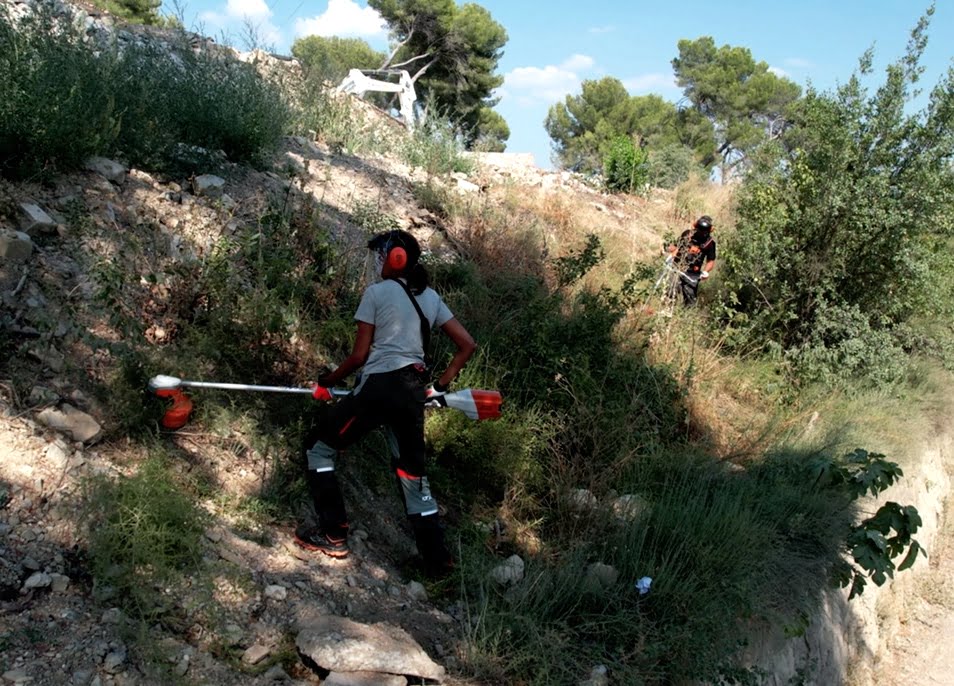 stihl-debroussailleuse-partenaire