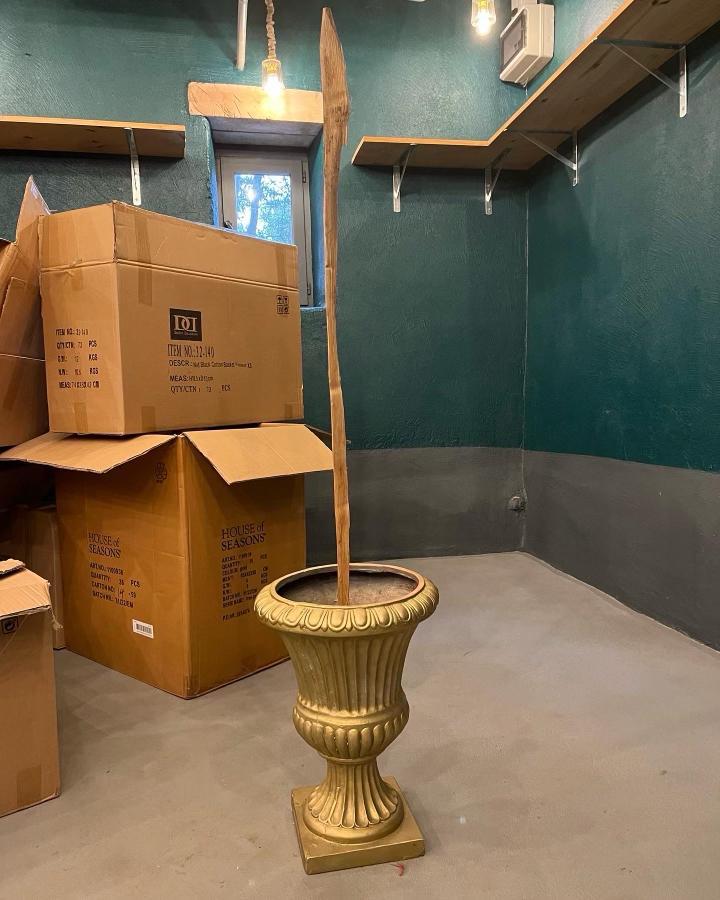 sapin-cartons-DIY-passion-verte